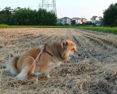 �X���ɂȂ��Ă��ҏ���