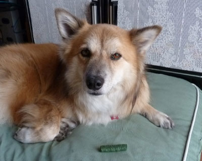 ������I�ƋN��������