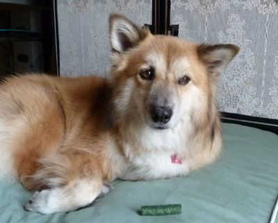 �ڂ����炷