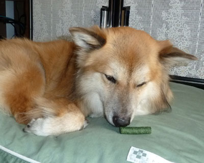 �O�̂��߃j�I�C������