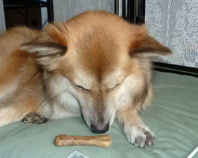 �ʂ̂��o��