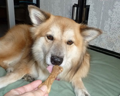 ���x�͂Ȃ߂Ă݂�