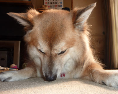 �����I���H