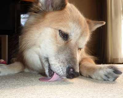 �ӊO�ɂ��������ď����Ȃ߂�