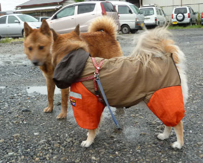 �E����񂿂��ƈ��A