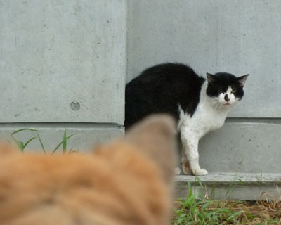 �˂��Ɏ���ꂽ