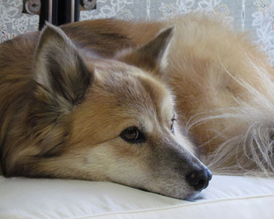 �Ӗ����Ȃ��ʐ^���B����Ƃ��͐V�����J��������