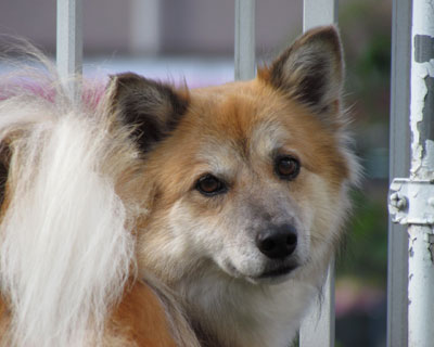 ���ܖZ��������Ă΂Ȃ���