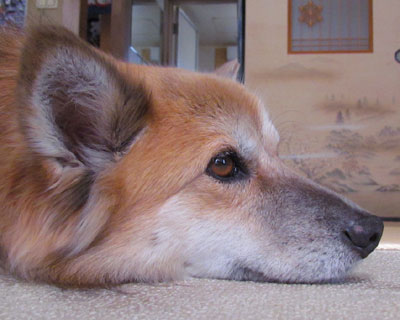 �F��Z�����čʓx�̂��Ƃ�������