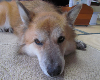 24mm�̓u�X�ɂȂ邩�炢��Ȃ���