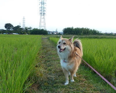 �Ă͒��������˂�