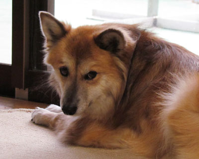 �O�ɏo�����Ƃ����Ƃ茩��