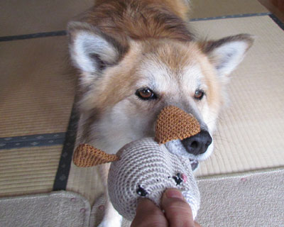 �T�{���ĂȂ��H