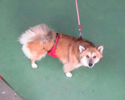 �U���I�������