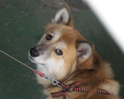 ������Ȃ��ƂQ�K�ɋA��Ȃ�