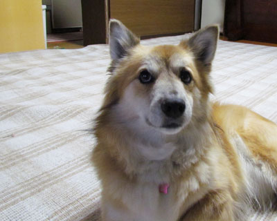 �����g�ł��Ă�񂾂�