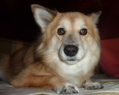 �p���Ŕ��