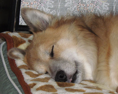 �ѕz���o�āA����o��