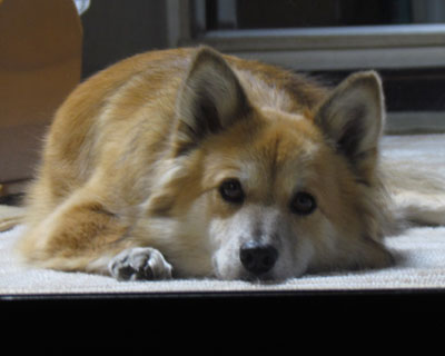 �x�����_�̎���������߂�