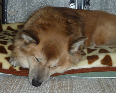 �Ƃ��ǂ��炪������