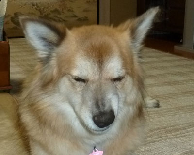 �r���ŕϊ�