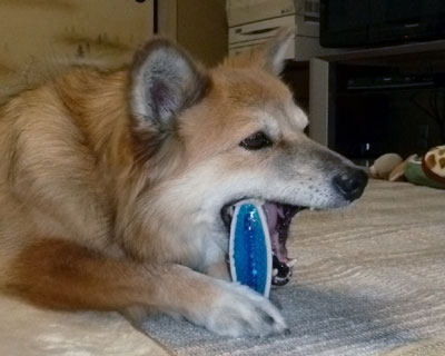 ���܂Ɏv���o���K���K���I���`��