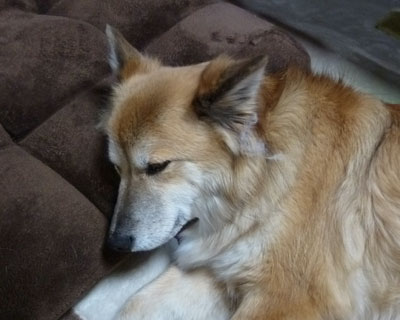 ���ɂ�������