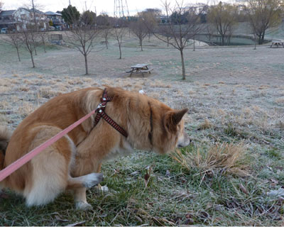 �����͐l�����Ȃ�