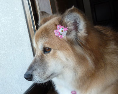 �܂����ꂽ��