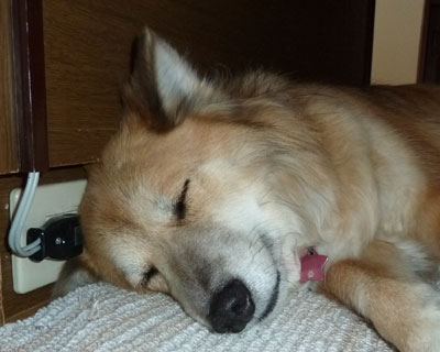 ���d����