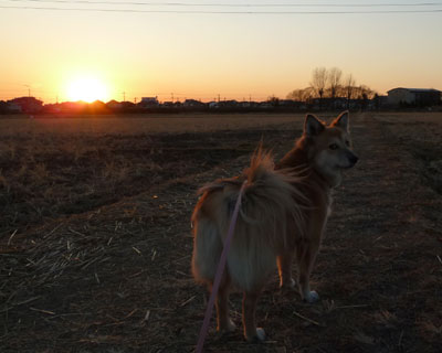 �����[�������ꂢ����