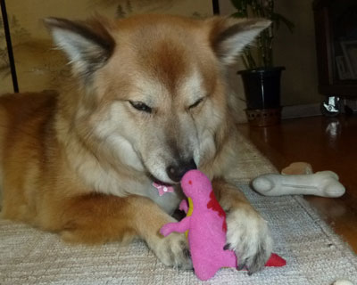 ���܂ɂ͗V��ł�����