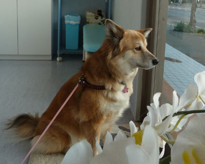 �����A�肽��