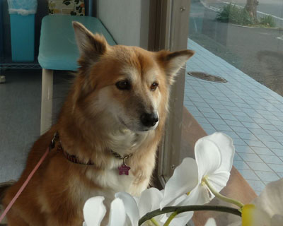 �����x����