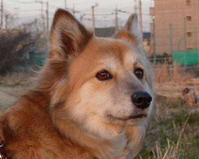 �[�Ă��ŐԌ��x������