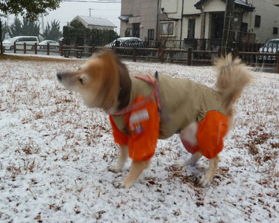 ���N�͐�͍~�邯�ǂ���ڂ��񂾂�