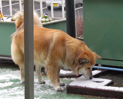 ����Ȃ񂶂�����Ώ������Ⴄ