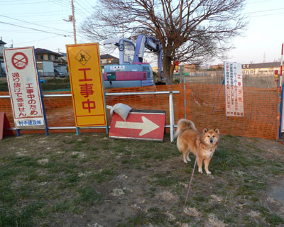 �؂̉Ԃ̓����ʍs�~�߂���