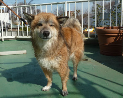 �Q���̖ҏ��Ő��ꂽ