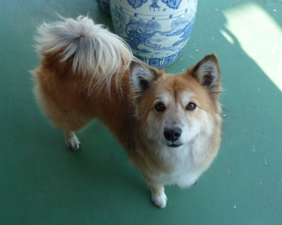 �����܃o�[�ɂȂ�