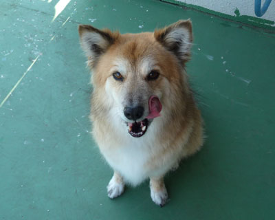 �܂����Ƃ��Ȃ���