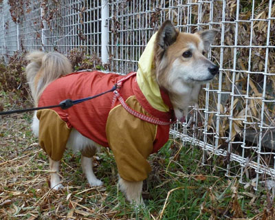 �܂��Ӗ����Ȃ��B�e���Ă��