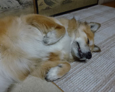 1/13�b�ł��u���Ȃ��́H