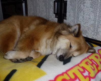 �ł������͕s���ӂ�������