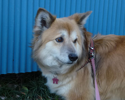 ���A�Ő��߂�͓̂`������