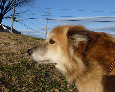 �󂪐��̂��`���H