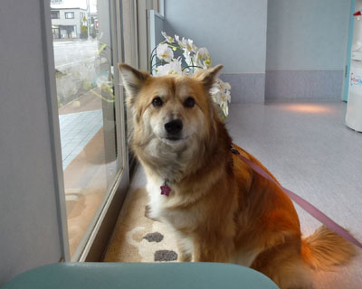 �a�@���킢