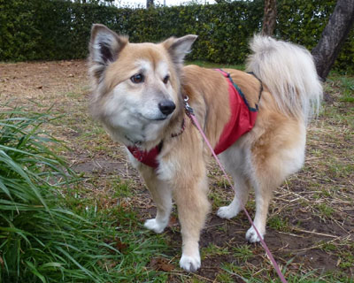 ����ς�W���������񂶂�Ȃ��H