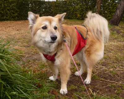 �E�H�[���͍g�t�����