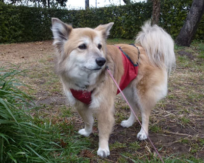 �i�`�������͊�F������